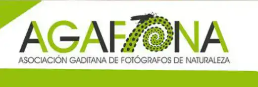 Asociacion gaditana de fotografos de naturaleza