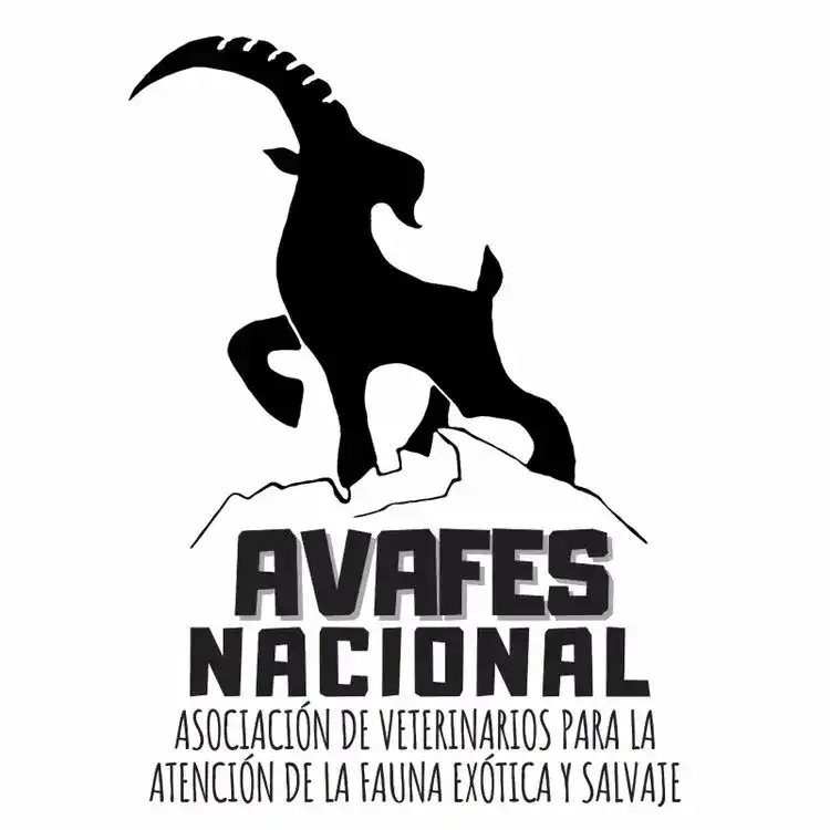 Avafes nacional
