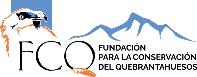 Fundacion para la conservacion del quebrantahuesos