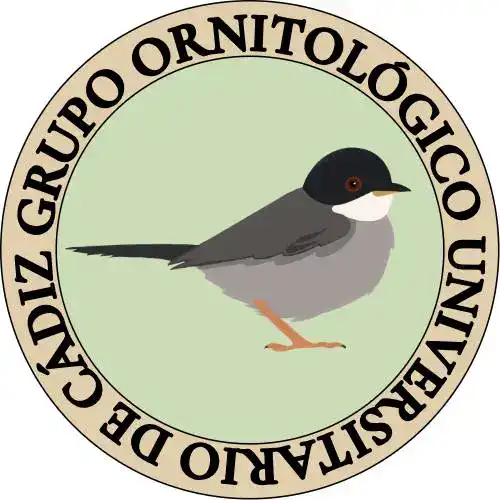 Grupo ornitologico go uca